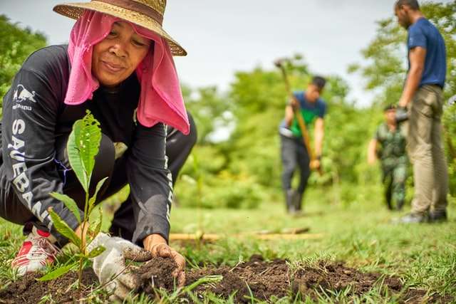 Mulheres, Agronegócio e Arbitragem.